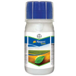 REGENT GOLD- INSECTICIDE