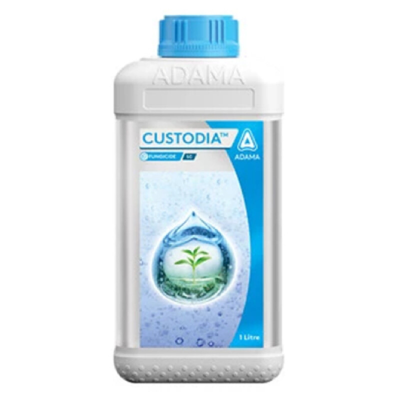 CUSTODIA FUNGICIDE