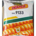 BAYER DEKALB DKC 9133
