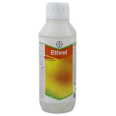 ETHREL–PGR