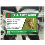 Spodoptera fugiperda-Fall Armyworm- LURE