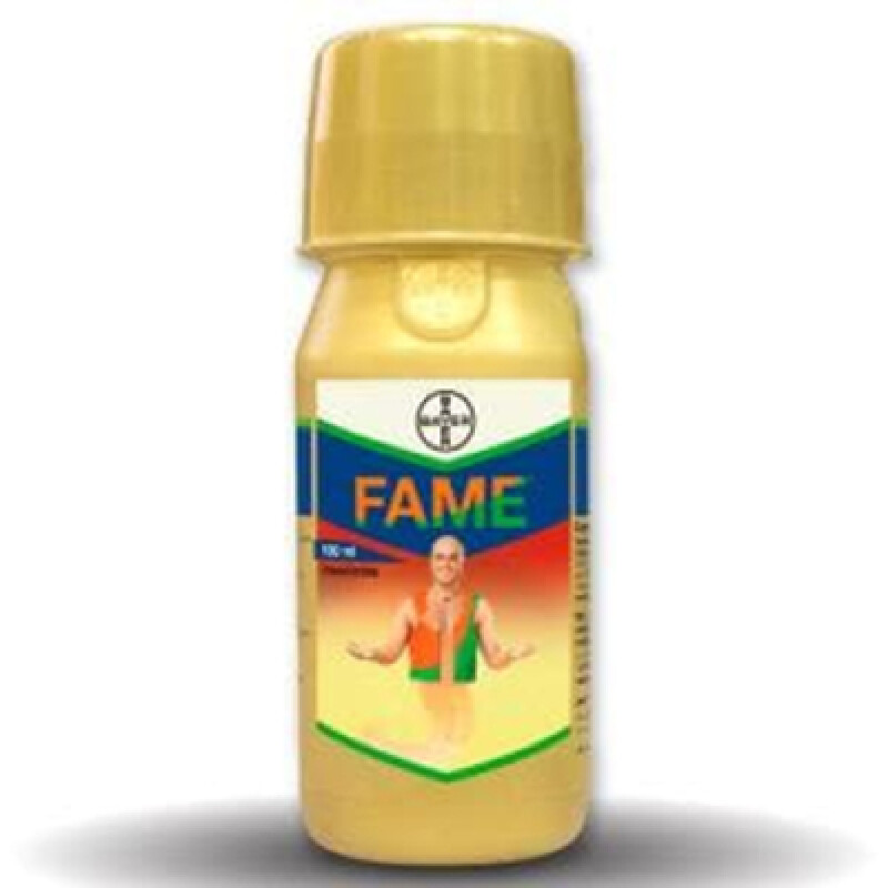 BAYER FAME