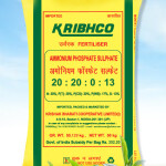 20:20:0:13 – MAJOR NUTRIENT