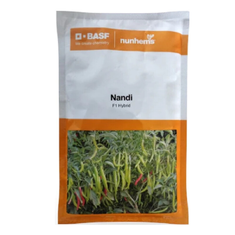 NANDI F1 HYBRID – CHILLI SEEDS
