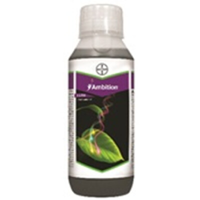 AMBITION ACTIVATOR–PGR