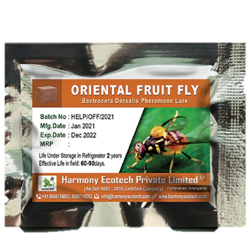 Bactrocera dorsalis – ORIENTAL FRUIT FLY- LURES