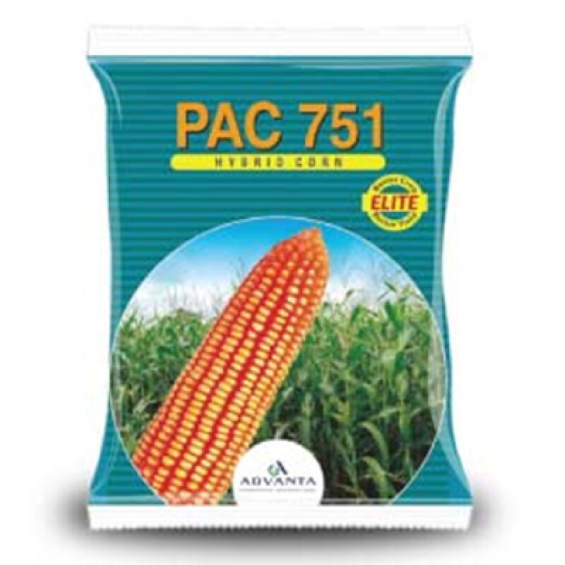 Advanta PAC 751 Elite HYB Maize Seed