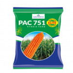 ADVANTA PAC 751 HYBRID MAIZE SEEDS