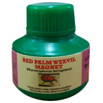 Rhyncophorus ferrugineous-RPW (Magnet)- LURES