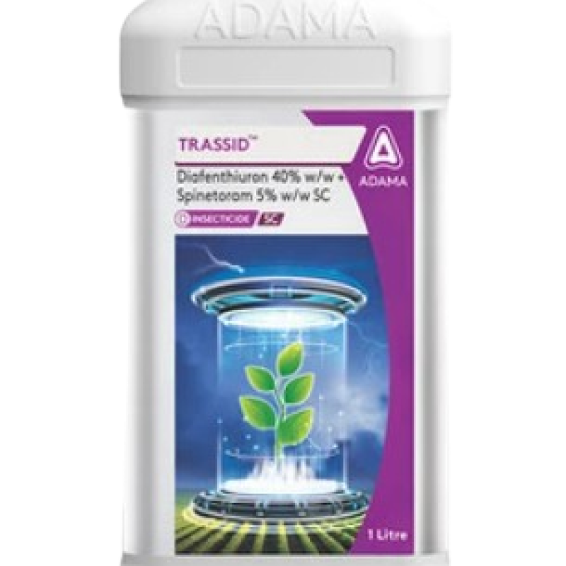 Trassid - Insecticide