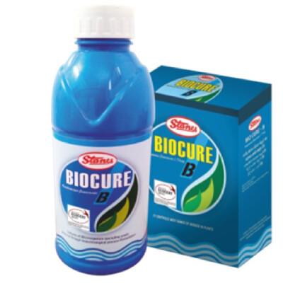 BIOCURE B - PGR