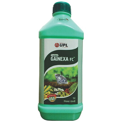 GAINEXA -PGR