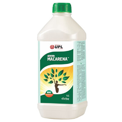 MACERENA-PGR