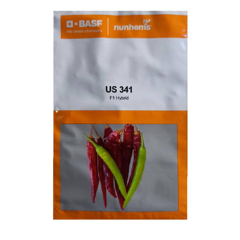 US 341 F1 HYBRID – CHILLI SEEDS