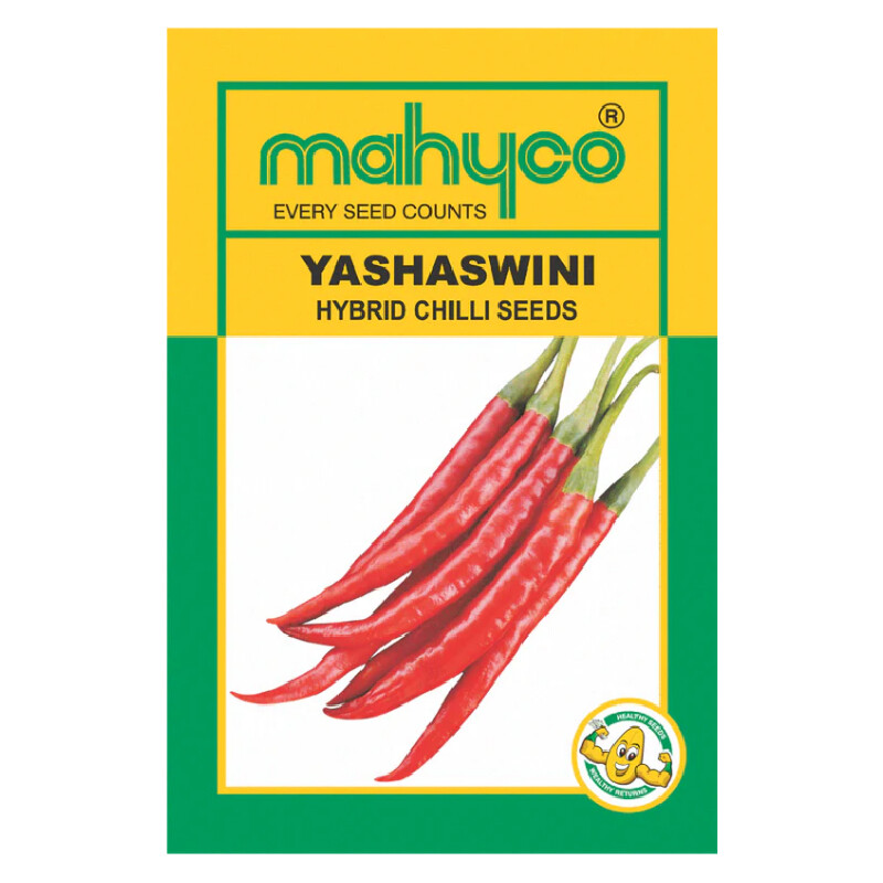 YASHASWINI – CHILLI SEEDS
